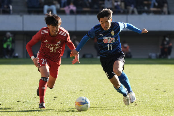 塞洛品牌的 塞洛品牌的